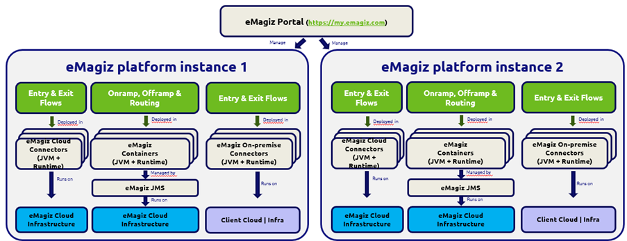 fundamental-emagiz-multi-model--two-platform-instances.png
