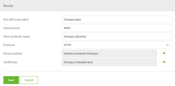 intermediate-emagiz-cloud-management-certificates--route-edit-screen-filled-in.png