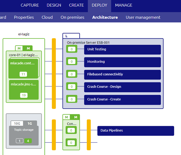 intermediate-emagiz-runtime-management-configure-needed-memory--deploy-architecture.png