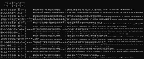 intermediate-emagiz-runtime-management-interpret-on-premise-logging--show-log-cmd.png