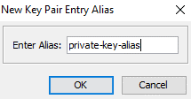 intermediate-securing-your-data-traffic-creating-a-jks--define-alias-private-key.png